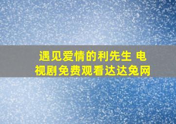 遇见爱情的利先生 电视剧免费观看达达兔网